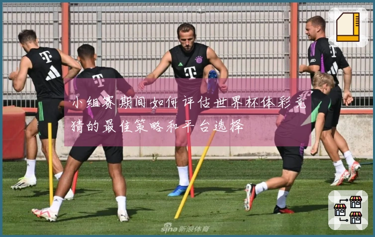 小组赛期间如何评估世界杯体彩竞猜的最佳策略和平台选择